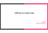 특허 선행기술 보고서