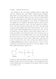 나일론 조사 화학2 세특주제