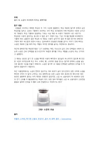 화학세특 (소금이 미치는 영향)