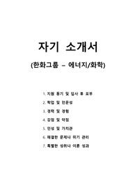 자기 소개서 - 한화그룹 - 에너지-화학