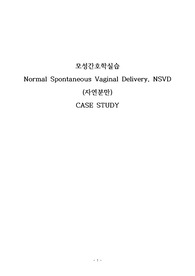 모성간호학 자연분만 케이스 스터디 NSVD