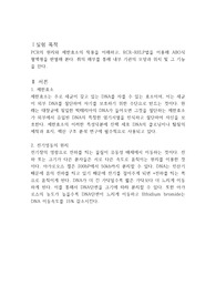 PCR을 통한 혈액형의 판정
