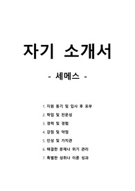 자기 소개서 - 세메스