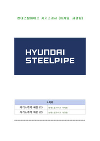 현대스틸파이프 자기소개서 (마케팅, 재경팀)