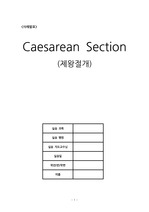 [A+보장!!] 간호진단 6개, 과정 3개 C/sec(Caesarean Section, 제왕절) case study(정말 꼼꼼하게 적었습니다!!)