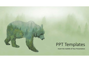 묘사 실루엣 곰 푸른 고급 PPT 템플릿 다이어그램 그래픽 타입 flow 차트 아이콘