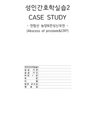 성인간호학 전립선 농양 &amp; 만성신부전 간호과정 (간호진단 2개, 간호과정 5개 - 출혈위험성, 체액불균형)