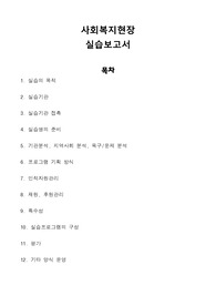 사회복지현장 실습보고서