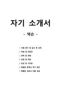 자기 소개서 - 넥슨