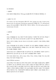 PCR 예비레포트
