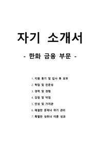 자기 소개서 - 한화 금융 부문