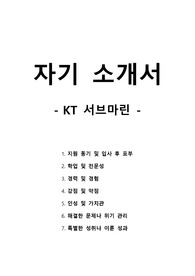 자기 소개서 - KT 서브마린