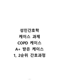 성인간호학 A+케이스 과제, COPD케이스 과제 간호진단 1,2순위까지