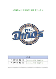 NC다이노스 국제업무 채용 자기소개서