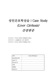 간경화 케이스 보고서