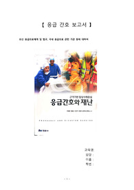 응급의료체계에 대하여(현황, 법규, 보완할 점 등) - 레포트