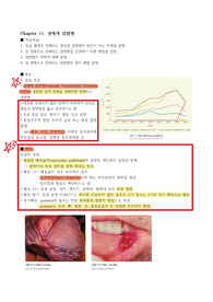 감염미생물 Chapter 11. 성매개