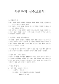 사회복지 실습보고서