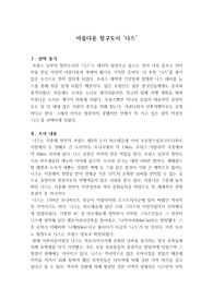 프랑스 도시조사 과제 - 니스
