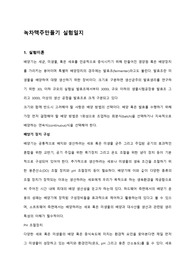 녹차맥주 만들기 레포트