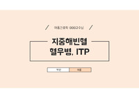 아동간호 지중해빈혈, 응고장애, 혈우병, ITP 면역성 저혈소판 자반 PPT, 아동간호학, 아동간호학 실습