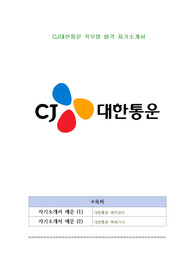 CJ대한통운 직무별 합격 자기소개서