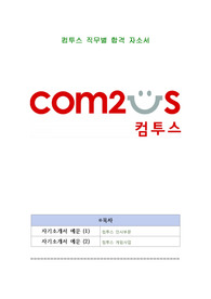 컴투스 직무별 합격 자소서