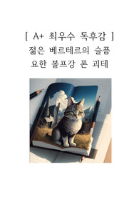 젊은 베르테르의 슬픔 독후감