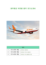 제주항공 부문별 합격 자기소개서