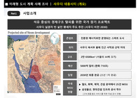 사우디 네옴시티 정책