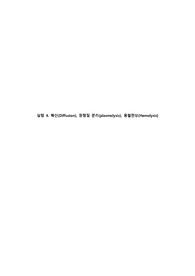 [A+] 서강대학교 일반생물학실험1 실험 4. 확산(Diffusion), 원형질 분리(plasmolysis), 용혈현상(Hemolysis) 풀레포트