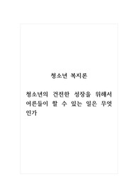 청소년복지론_청소년의 건전한 성장을 위해서 어른들이 할 수 있는 일은 무엇인가