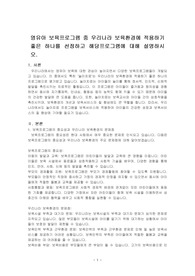 영유아 보육프로그램 중 우리나라 보육환경에 적용하기 좋은 하나를 선정하고 해당프로그램에 대해 설명하시오.