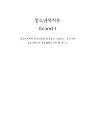 &lt;위더스 청소년복지론 과제&gt;청소년복지의 발전과정을 단계별로 기술하고, 우리나라 청소년복지의 발전방향을 제시해 보시오