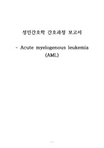 성인간호학 급성 골수성백혈병(AML) 간호과정 보고서(과정2개)