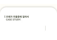 정신간호학 츠레가 우울증에 걸려서 케이스스터디