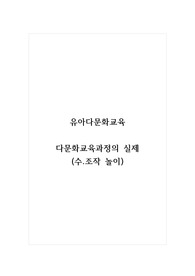 유아다문화교육_다문화교육과정의 실제 (수.조작 놀이)