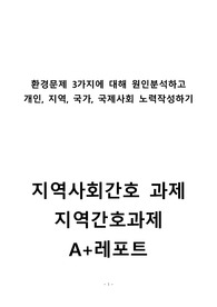 환경문제 3가지 분석 후 개인, 지역, 국가노력 작성하기, 지역간호과제, 지역간호과제, 지역레포트, 환경레포트, A+받은과제