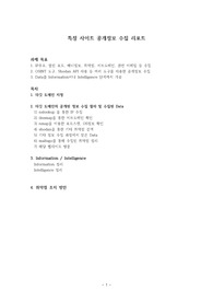 특정 사이트 공개정보 수집 리포트[A+]