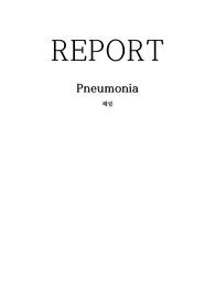 Pneumonia 폐렴 간호과정(간호진단 5개, 간호과정 2개)