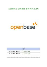 오픈베이스 공개채용 합격 자기소개서