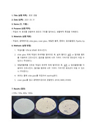 효모관찰
