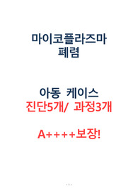 아동 마이코플라즈마 폐렴 CASE STUDY (진단5, 과정3)