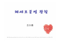 양파뿌리 이용한 체세포분열 관찰 발표 ppt
