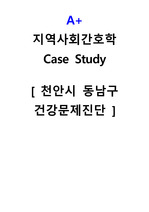 A+ 지역사회간호학 Case Study 천안시 동남구 건강문제진단