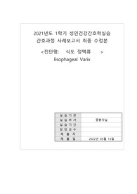 식도정맥류 간호과정 CASESTUDY / ICU / 간호진단 5개, 간호과정 2개 / 친구들이 감탄한 자료