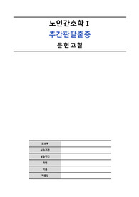 A+++ 추간판 탈출증(디스크) 문헌고찰