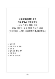 서울특별시 보라매병원 2024 간호사 채용 합격후기, 2025 간호직 채용 대비(합격인증0, 스펙0, 자기소개서0, 최종면접기출/예상질문 총정리)