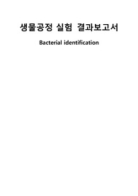 생물공정실험 결과보고서 Bacterial identification
