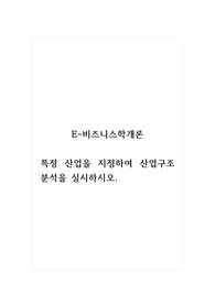 E-비즈니스학개론_특정 산업을 지정하여 산업구조 분석을 실시하시오.